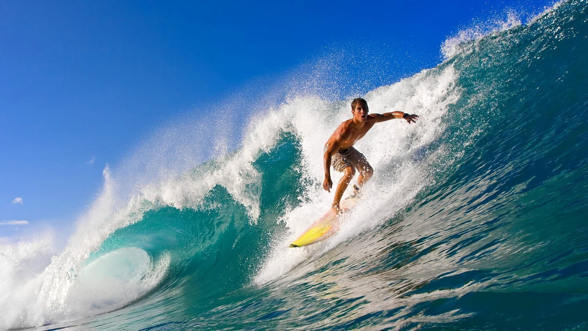 未来突破!澳大利亚乒乓球队如何应对国际强队的挑战,澳大利亚乒乓球水平怎么样