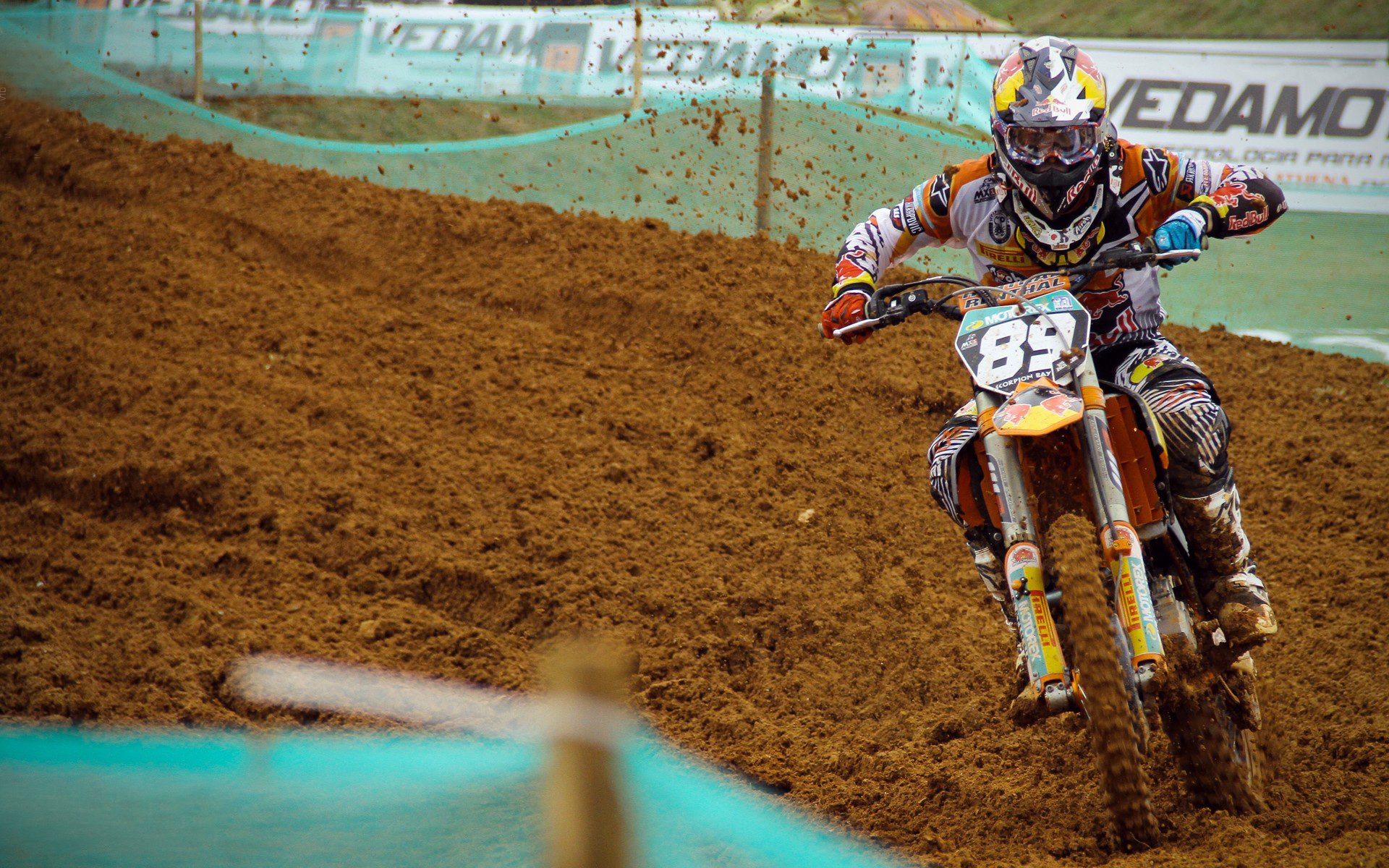 “伊万·戈梅斯:从防守专家到进攻新星,推动美洲狮队新一轮崛起”