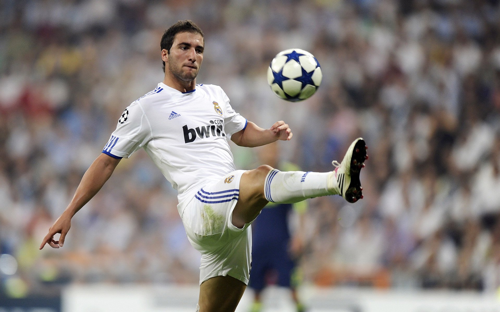 _女子足球世界杯：热血青春点燃赛场激情_，女子世界足球锦标赛